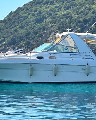 Sea Ray 310 Sundancer Natante