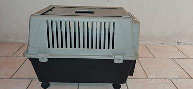 trasportino per cane