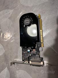 Scheda video Ati Radeon R7 430 4GGB DDR5