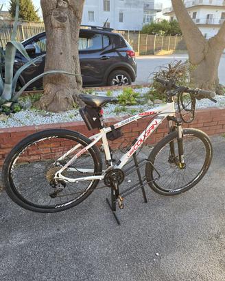 Mtb Lee Cougan Nitro 650 taglia M