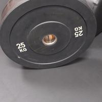 palestra coppia dischi bumper olimpionici 25 kg