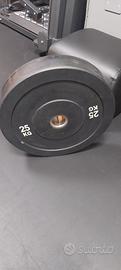 palestra coppia dischi bumper olimpionici 25 kg