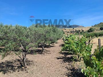 Terreno - Castiglione di Sicilia