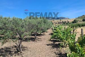 Terreno - Castiglione di Sicilia