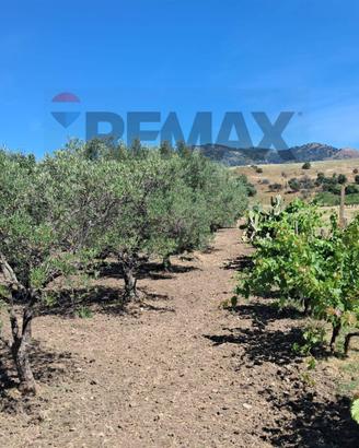 Terreno - Castiglione di Sicilia