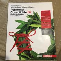 Performer Consolidate B2