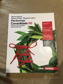 Performer Consolidate B2