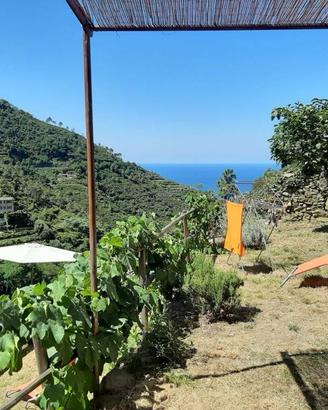 Rustico / Casale di 50 m² con 2 locali a Riomaggio