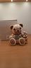 teddy