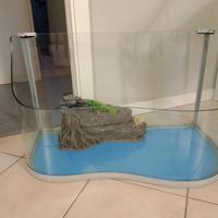 teca per tartarughe d'acqua 