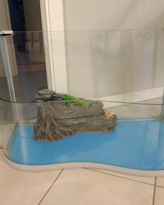 teca per tartarughe d'acqua 