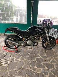Ducati monster