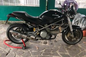 Ducati monster