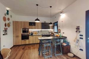 Casa indipendente con uliveto