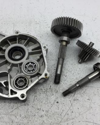 SYM SYMPHONY S 125 CARTER + INGRANAGGI RUOTA POSTE