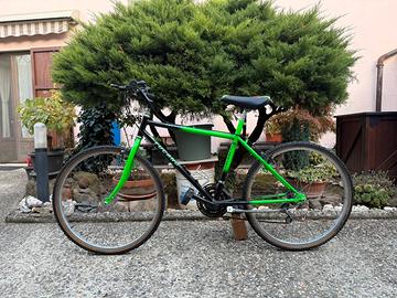 Bici Mountain Bike MTB Vintage Bicicletta Gravel