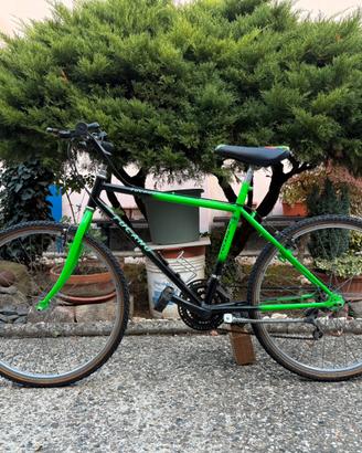 Bici Mountain Bike MTB Vintage Bicicletta Gravel