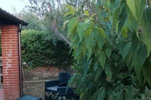 Incantevole villetta immersa nel verde della marem