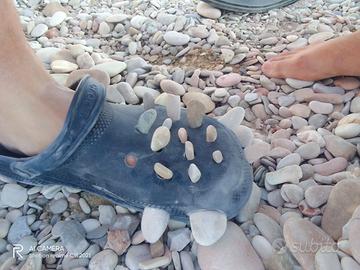 Vedo crocs edizione triceratopo nero