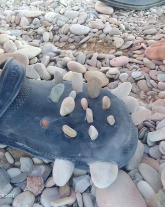 Vedo crocs edizione triceratopo nero