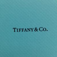 astuccio Tiffany & Co.