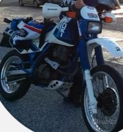 Moto Suzuki Dgeber 650