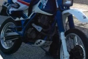 Moto Suzuki Dgeber 650