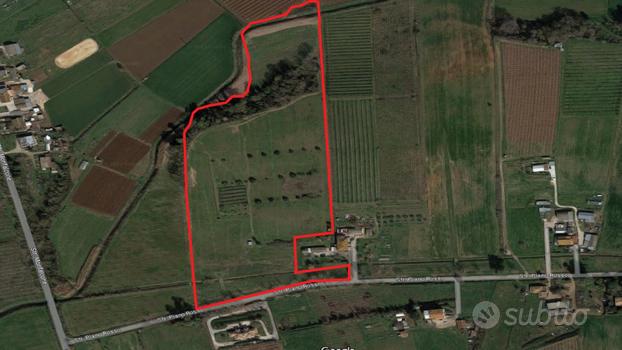 Terreno 6 ha - Borgo Montello (LT) Tr.280