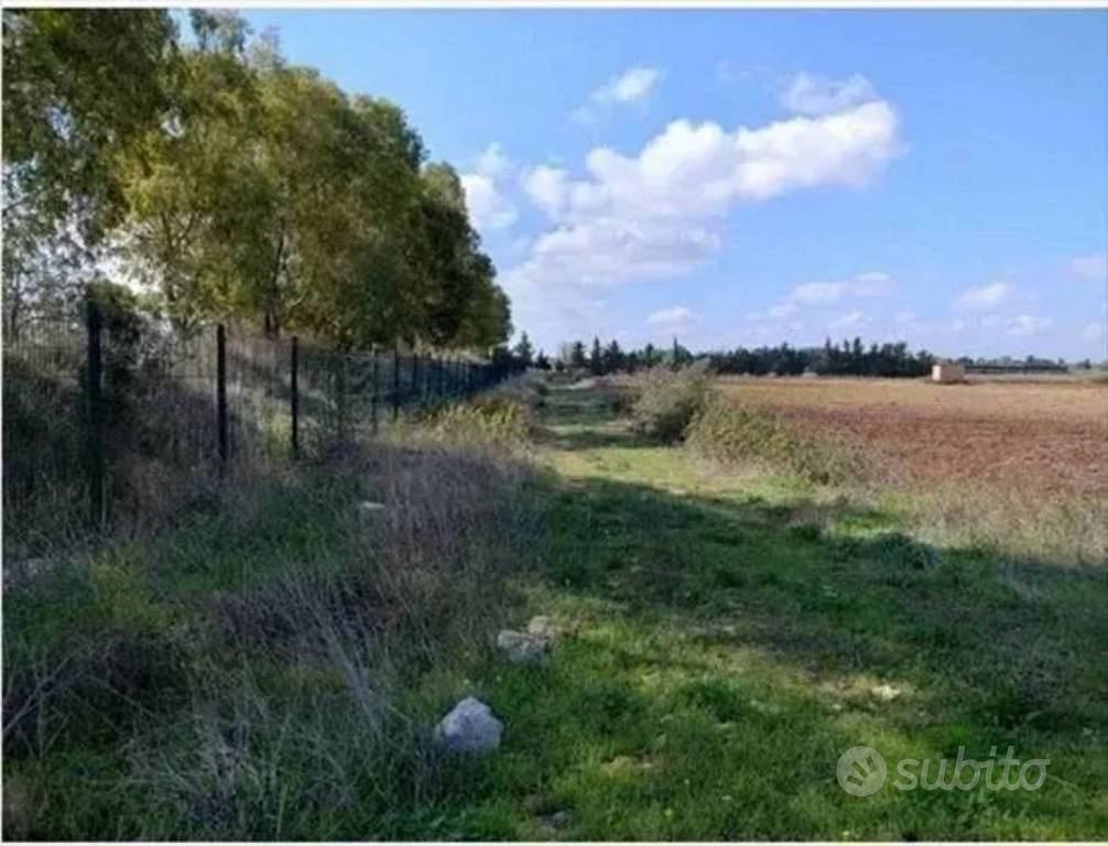 Immobile in asta di 22562 m² a Cavallino - Altro