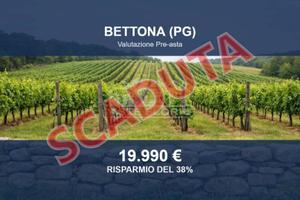 Immobile in asta di 40559 m² a Bettona