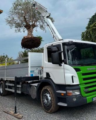 Scania 180-230 cassone fisso +Gru revisionato 