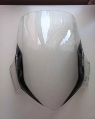 Cupolino super tenere xt1200