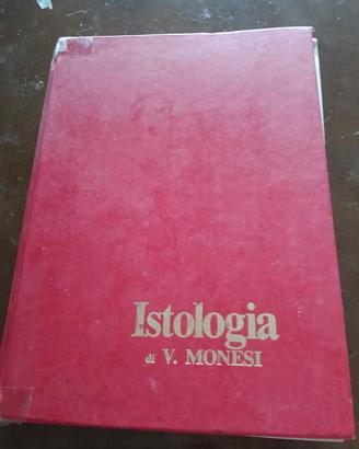 testo di istologia Monesi ed 92