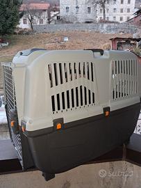 trasporto per cani 