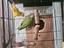 Immagine 2