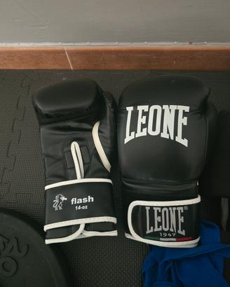 guantoni boxe 