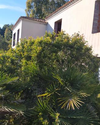 Villa in costruzione - Alghero loc. Salondra