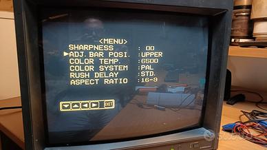 Monitor Professionale a Colori 16/9