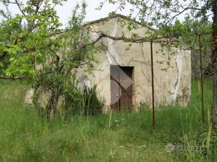 RUSTICO A VEROLI - Vista 5
