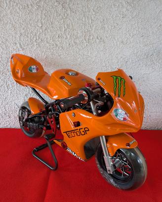 Ciclistica Minimoto TCM Midi italiana 
