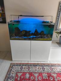 acquario 