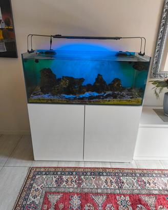 acquario 