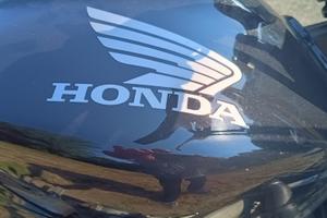 HONDA HORNET 900 (919)