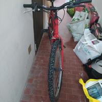 Mountain bike 