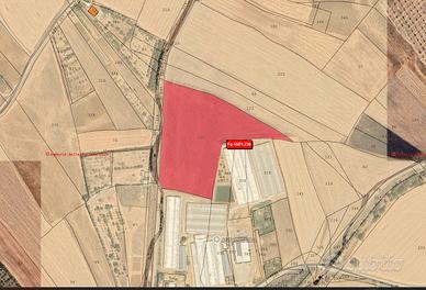 TERRENI agricoli ad Assemini