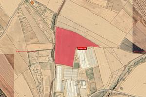 TERRENI agricoli ad Assemini