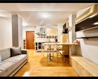 Mini attico mansardato