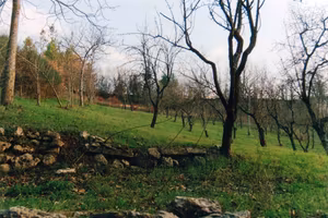 Terreno Agricolo 2850 mq Fronte Strada