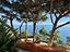 Immagine 24