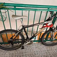 bicicletta sportiva